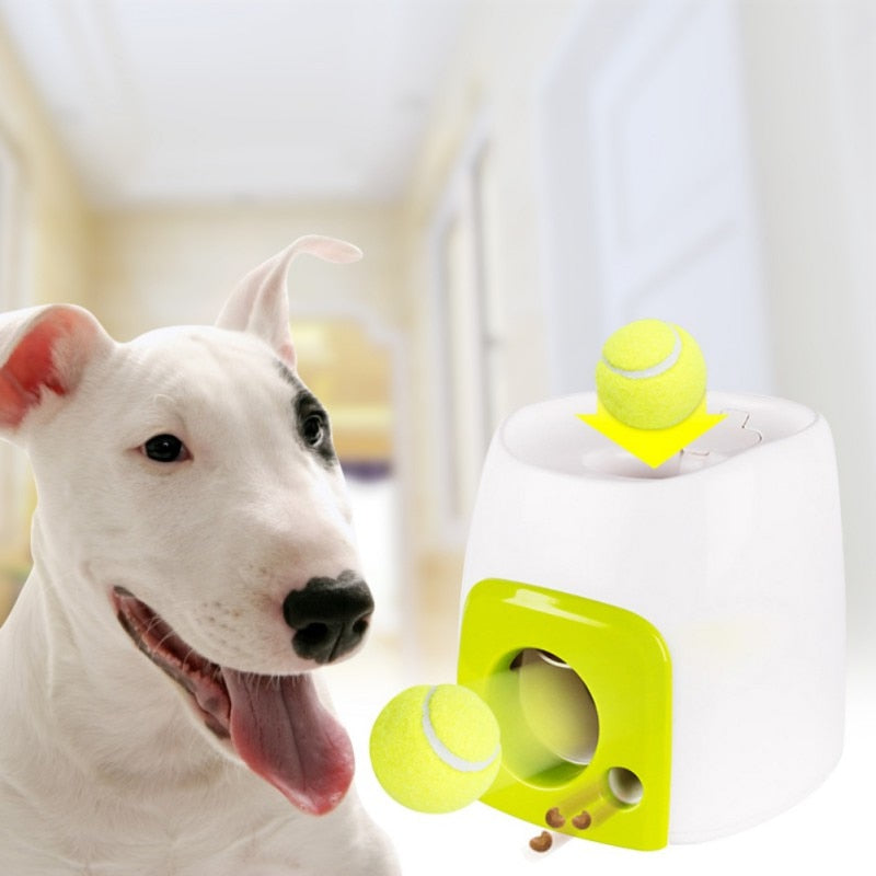 Treat & Tennis Ball Launcher (2 in 1)